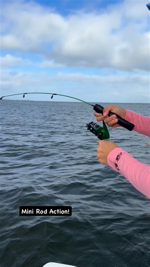 Michelle on Instagram: "Mini rod, major fight. This jack took me for a ride — pure chaos on light tackle. 💪 Jacks might not always be the biggest prize fish, but they fight like they don’t know that. Pound for pound, these fish are some of the hardest hitters out there — all speed, power, and attitude. 🎣 Can’t wait to see what this mini rod can really do with a big one! 😎🔥 #rodandreel #saltwaterfishing #inshorefishing #tampa #westcoast #onthewater #fishon #outdoors #goodvibesonly"