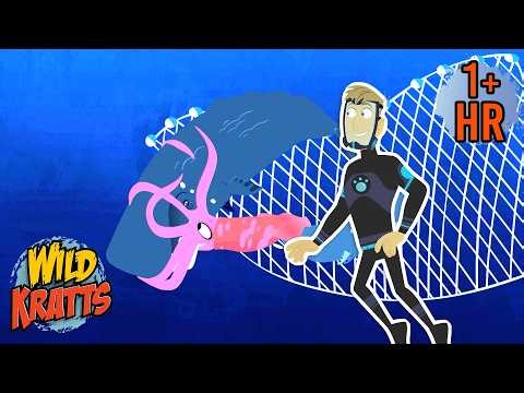 Trapped Whale Rescue | Creature Rescue | Wild Kratts
