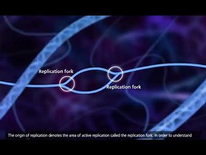 Origin of replication