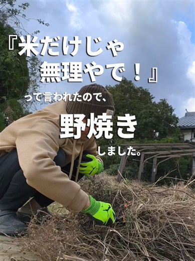 【今日のぼいぼい🌾】 2026年から フリーランス米農家として独り立ち🌾 『全国の人を僕のお米で唸らせたい！』 をモットーに稲作に励んでます🌾 今回は、、、 『米だけじゃ無理やで！』って言われたので、 野焼きしました。 少しでも 応援(いいね&フォロー)してもらえると嬉しいです!! #淡路島移住 #農業 #米農家
