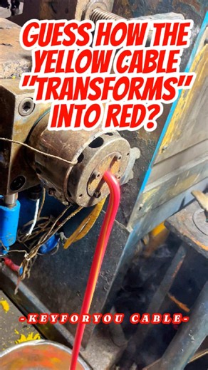 The Amazing Cable Chameleon: Yellow to Red Transformation