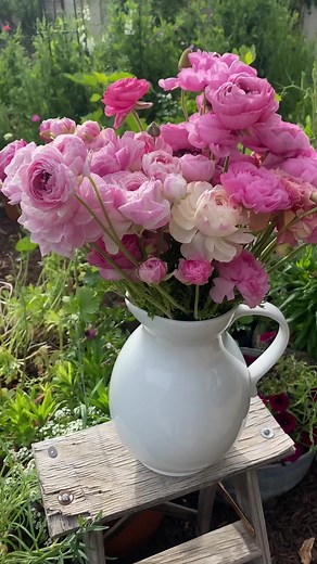 2.3K views · 44 reactions | When I first saw the gorgeous blooms on...