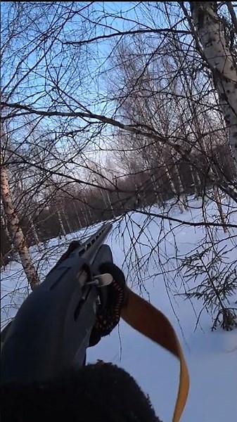 Огромная стая косачей! Охота на тетерева на лунках. #охота