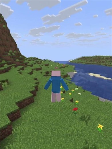 a resource pack that overhauls the player movement #minecraft