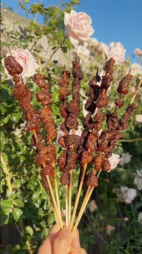 Chinese BBQ Beef Skewers Recipe （ 烤肉串）
