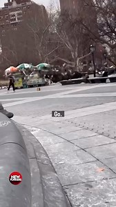 107K views · 10K reactions | New Yorker controlling the pigeons in Washington Square Park   | New Yorkers | Facebook