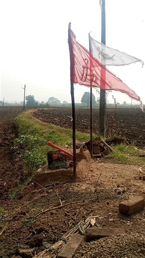 farming beautiful short video #trending #shorts