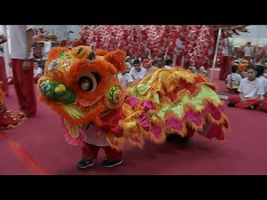 Will Does the Lion Dance | The Little Couple