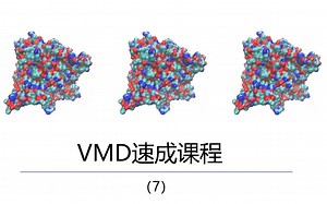 VMD教程-PSF和拓扑文件之间的区别（中英双字）-7