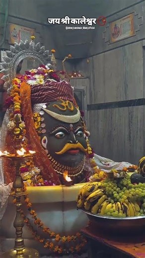 दिव्य दर्शन श्री महाकालेश्वर ज्योतिर्लिंग जी का उज्जैन मध्य प्रदेश #love #shortsfeed #youtubeshorts