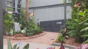 141K views · 343 reactions | Meet The New Baby Velociraptor Now At Univeral’s Raptor Encounter https://chipandco.com/meet-the-new-baby-velociraptor-now-at-univerals-raptor-encounter-391715/ | Chip and Company | Facebook