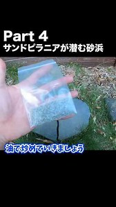 ヒメスナホリムシの驚くべき生態とは