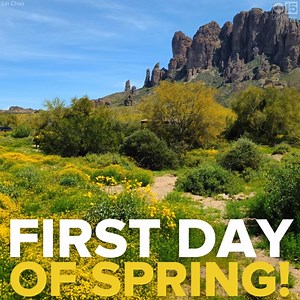 Happy spring! 🌷🌵🌻 Today marks the start of spring, with the equinox happening tonight at 8:06 p.m.! What are you looking forward to most? 🌞 #abc15 #spring #march #arizona #az365 #bloom | ABC15 Arizona
