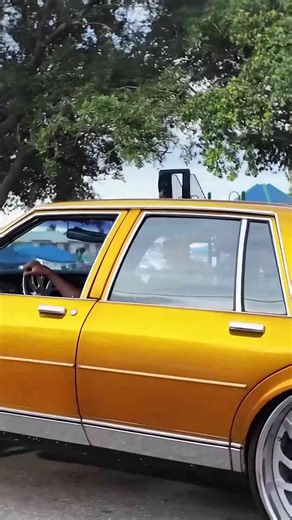 Candy Gold Chevy Box on 26’s Slidin