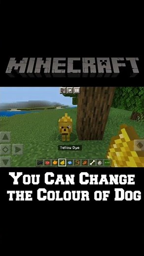How to Spawn Red Colour Wolf in Minecraft || Summon Coloured Wolf || Dog Colour Change in Minecraft