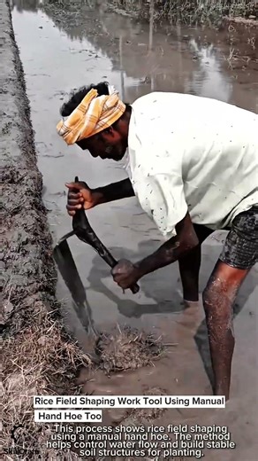 Rice Field Shaping Work Tool Using Manual Hand Hoe Tool #worktool