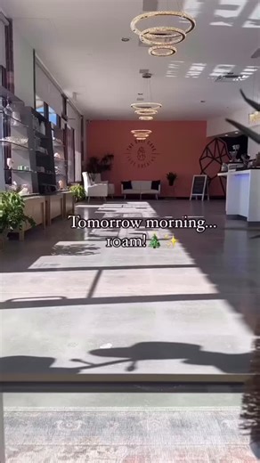 Salt Cave Wellness | Albuquerque on Instagram: "Tomorrow morning! 💫 10 am! Doors open for you to enjoy 20% off ALL services when you purchase a gift card of $40 or more this weekend! Head to our stories to book your spot! ✨ #blackfriday #albuquerque #saltcaveabq"