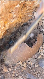 200K views · 680 reactions | Survival Skills: SIMPLE and USEFUL with frog trap #bushcraft #camping #outdoors #Amazing #FishTrap #AmazingEelTrap | Gold 168 | Facebook