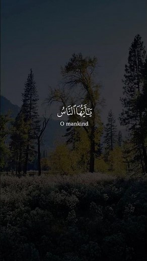 Sheikh Fares Abbad beautiful Qur'an recitation with english translation