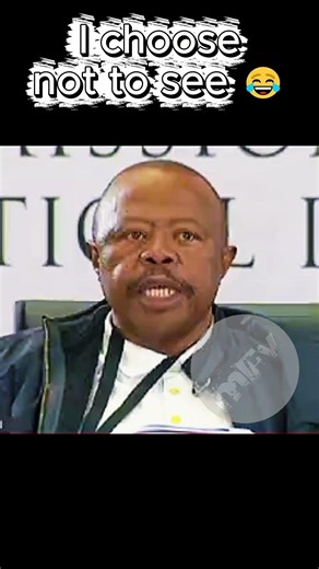 I CHOOSE NOT TO SEE 😂🤣 | Funny Moments at Madlanga Commission 😇