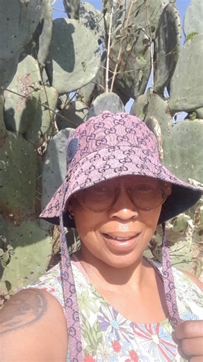 Remember I told you I was transplanting umdolofiya from the mountain onto my yard and other water based plants to help alleviate my wetlands....well I did...It was a very prickly exercise 🤣🙃 I care for men's health and happiness...being single and allergic to ukushelwa does not mean i don't have ya'lls back. Mom Cool gotchu MaGuy. And about the video: it's best to heal as a couple even if niwuTen...otherwise ilumbu iyayixabanisa imizi kacool!! Makhosi | Zookey Zarling