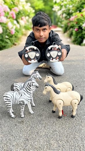 Remote Control 2Ta Horse V/S Big Zebra Unboxing 😱