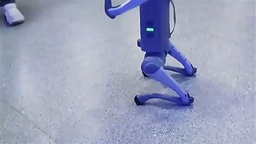 宇树机器狗让居家生活更有趣！实测好用，陪伴遛弯、看家护院超靠谱，宠物级智能体验值得入手！