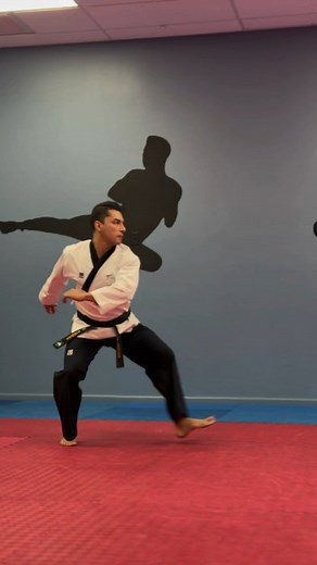 ☆ 540 Spinning Hook Kick 🥋 ☆ #taekwondo #kicking 📸@c.inzunza | Steban Monroy Diaz