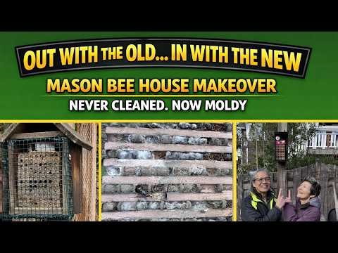 OLD TO NEW!: Mason Bee House Makeover - Never Cleaned. Now Moldy