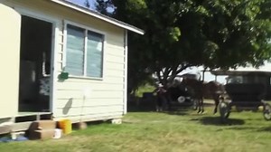 Alien Origin 2012 videa letöltés - Stb videó letöltés