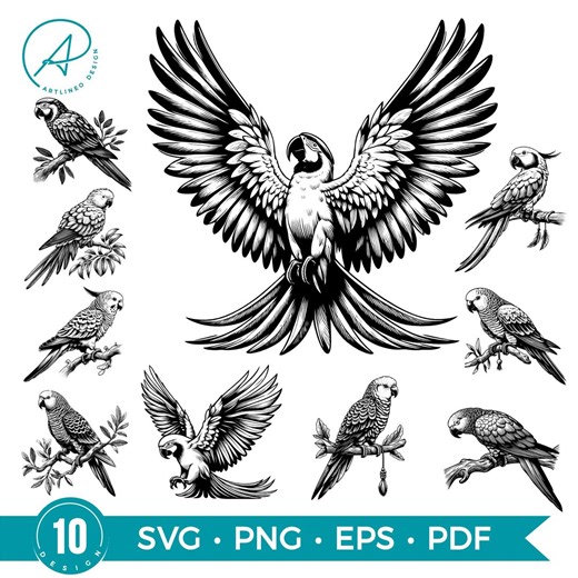 Vintage Parrot SVG Bundle : Macaw & Parakeet Line Art Illustrations (digital Download) - Etsy