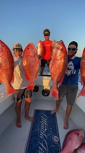 13K views · 348 reactions | EVERYTHING is bigger in TX. Checkout...