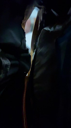 We GUARANTEE That You Will Become An Expert in ENGLISH in 75 Days...