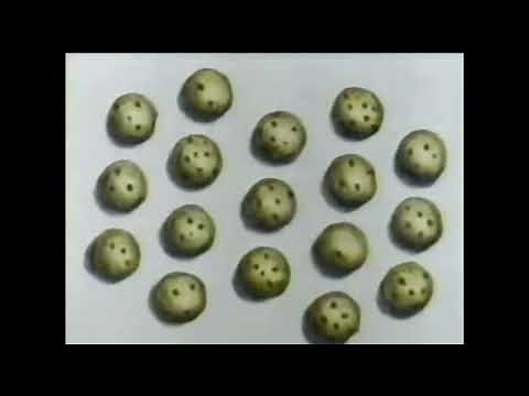 Classic Sesame Street - Rap #17