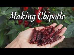 How to Make Chipotle Peppers