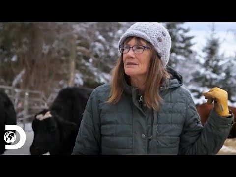 Tres momentos que los Kilcher pasaron grandes momentos con sus animales | Alaska La Última Frontera