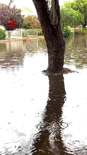 Localised flooding turned the streets of Morphettville into a splash park yesterday. Send your weather videos and photos to 7NEWS Adelaide: m.me/7NEWSAdelaide A severe weather warning for heavy, locally intense rainfall remains in place for central and south-eastern parts of the state. | 7NEWS Adelaide