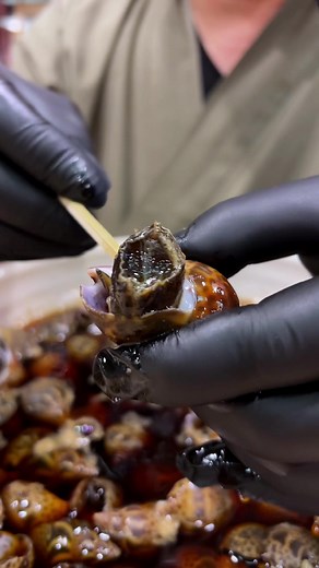 Japanese Ivory Shell 🐚 # shell | Hiroyuki Takeoka