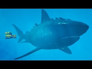 UNLOCKING the Sea Monster in GTA 5!