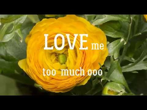 Excess Love Performed by Osby Berry | Excess Love LYRICS Video - WORSHIP & PRAISE SONGS