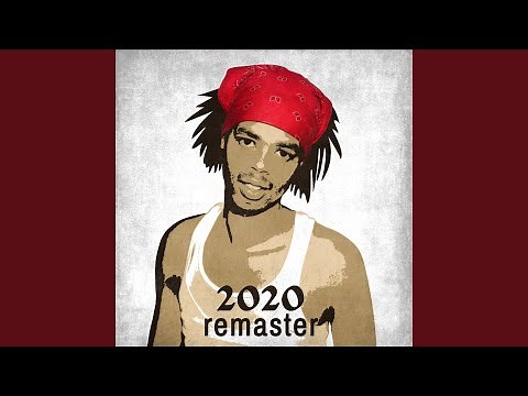 Bed Intruder (2020 Remaster)