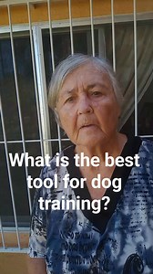 What is the best tool to train your dog it is your approval and your disapproval comment word and I'll put you into the program to make you have the best dog ever | The Logical Dog