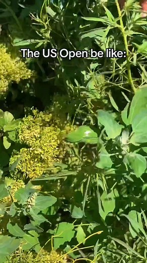 Too accurate. 😂 (📹: Instagram/ kodylamb) | Golf Digest