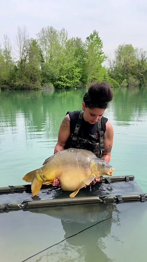 Il Wild Lake regala sempre esperienze ed emozioni uniche. È sempre un grandissimo piacere affrontarlo insieme alle sue carpe che hanno una potenza assurda indifferentemente dalla taglia. Per non parlare della bellezza di molti esemplari che lo abitano. In questa sessione è passata a trovarmi questa stupenda pallina che tra l’altro è uno dei tipi di carpe che preferisco. Non è stata una sessione facile, ma torno a casa super soddisfatta e con la voglia di tornare. Grazie a Moontackle e Piombies💚