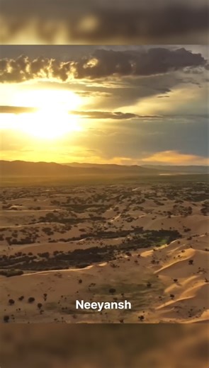 why China Released Million of Rabbits in Desert 😨