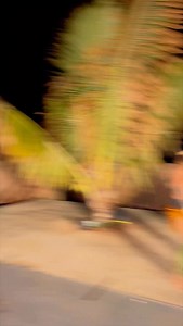 Another dance challenge? say less 🕺🏾🙂‍↕️🤌🏾 #maukawarriorsluau #travelhawaii #samoan #tongan #hawaiian #explorehawaii #hawaiischools #hawaiiluau #explorepage #oahuluau #reels #fyp #transition #influencers #comedy #firemaking #islandreggae #hypemusic #don’ttouchchallenge | Mauka Warriors Luau