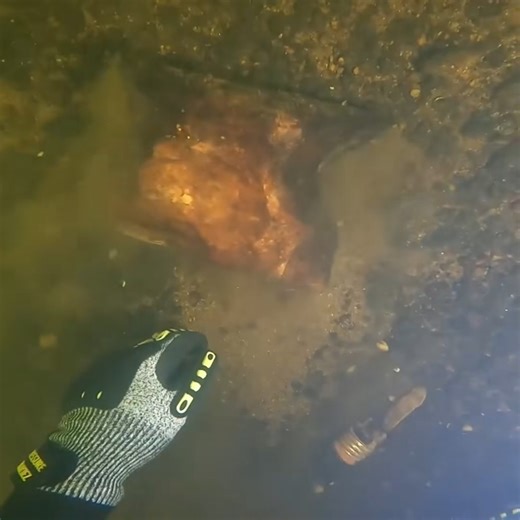 What's in the bag? 🤔 | Exploring with the Nug