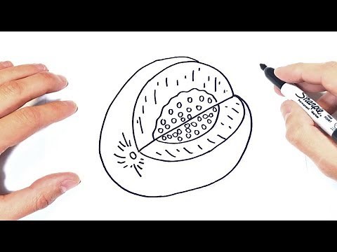 Cómo dibujar un Melon Paso a Paso y fácil