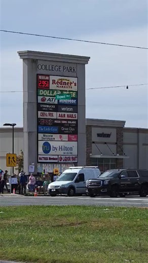 Over 400 'No Kings' protesters rally in Georgetown