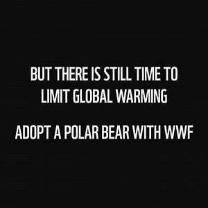 Polar bears depend on Arctic sea ice to hunt and raise their young. But the ice is melting. By helping protect polar bears you’re helping to make sure the Arctic food chain stays healthy. Adopt a polar bear with WWF from £3 a month. | WWF UK